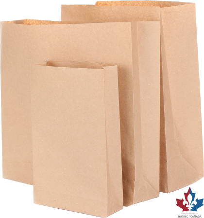 Kraft paper bag